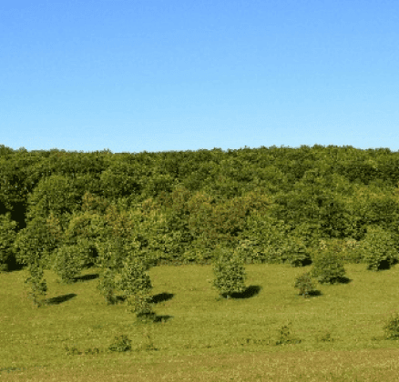 Pasture, crop production, carbon sequestration, habitat provision, shade and shelter (for livestock)